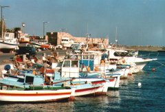 Der Fischerhafen von Ierapetra ist sehr reizvoll.