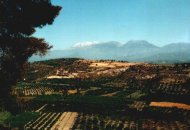 Die Messara-Ebene ist das landwirtschaftliche Zentrum Kretas